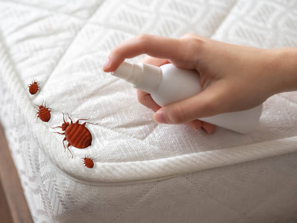 Best Pest Prevention Services  in Tallmadge, OH