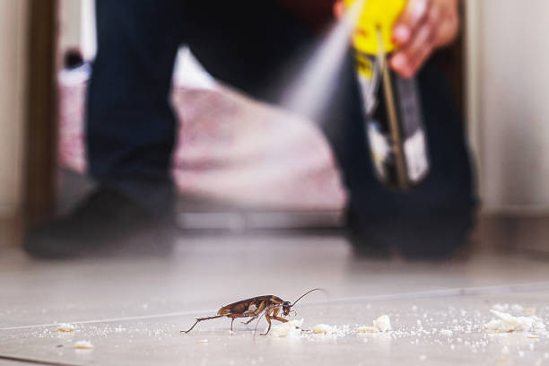 Best Cockroach Control Services  in Tallmadge, OH